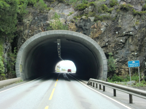 Spjeld-Tunnel