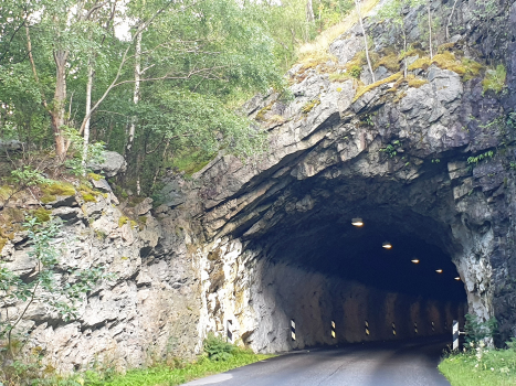 Tunnel de Rauberg