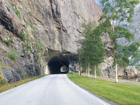 Rauberg-Tunnel