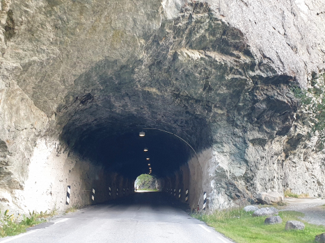 Rauberg Tunnel
