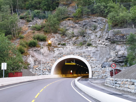 Seimsdal Tunnel