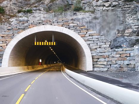 Tunnel de Seimsdal