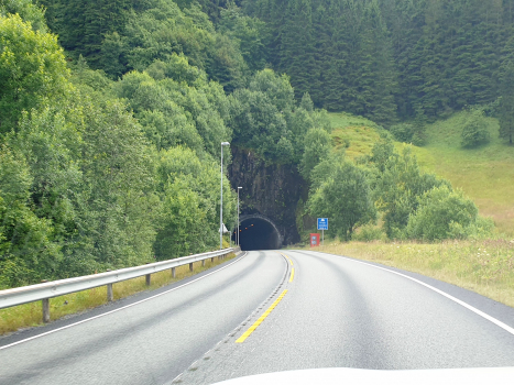 Tunnel de Tirsås