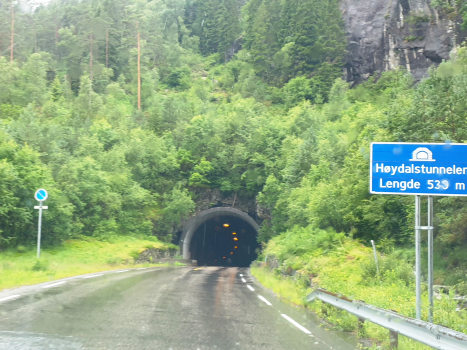 Tunnel de Høydals