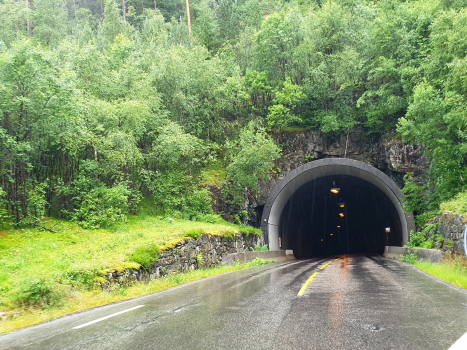 Høydals Tunnel