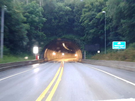Hop Tunnel