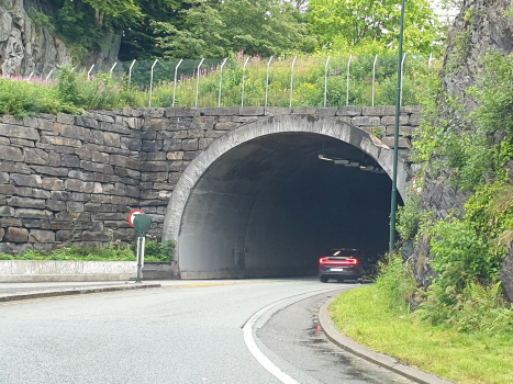 Tunnel de Midtun