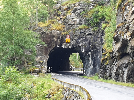 Steine Tunnel