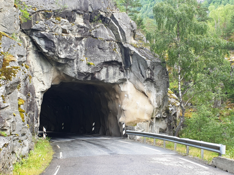 Steine Tunnel