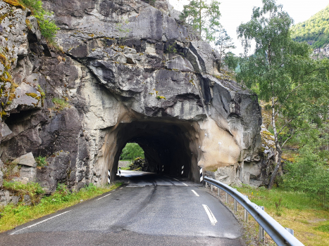 Tunnel de Steine