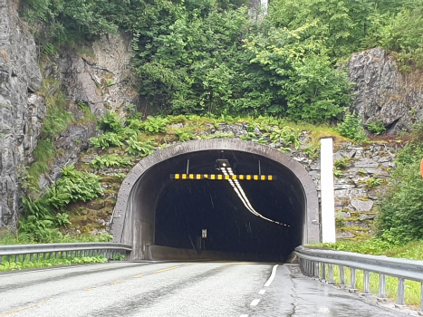 Fannefjordtunnelen