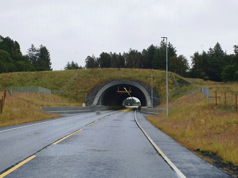 Burberg Tunnel