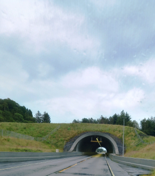 Burberg-Tunnel