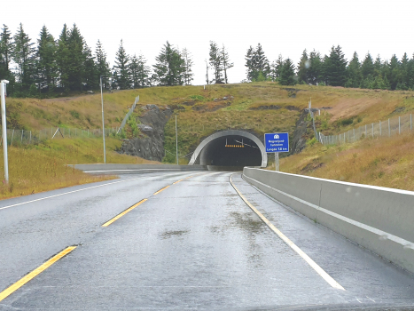 Tunnel de Nogvafjord