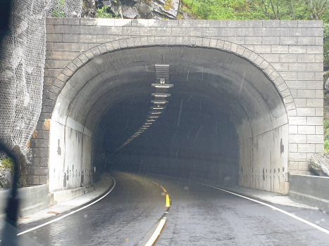 Tunnel de Remefjell