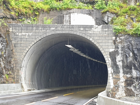 Tunnel de Reme