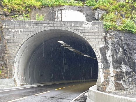 Tunnel de Reme