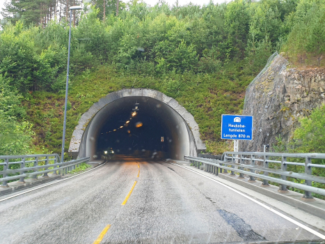 Haukabø Tunnel