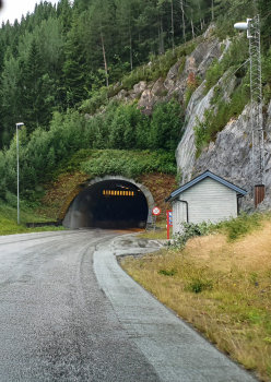 Nakke-Tunnel