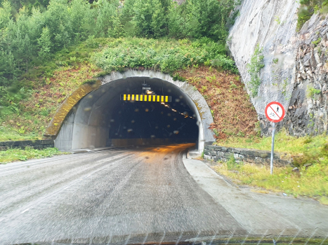 Tunnel de Nakke