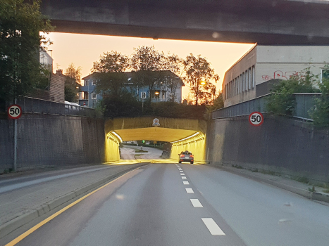 Tunnel de Havneringen