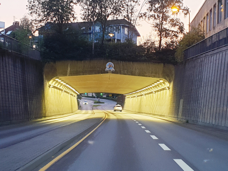 Tunnel de Havneringen
