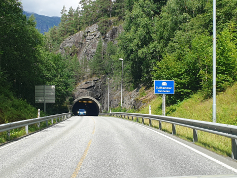 Tunnel de Gullhammar