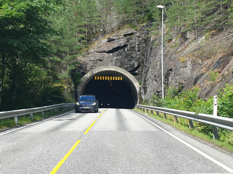 Gullhammar-Tunnel