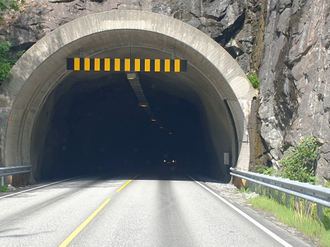 Gullhammar Tunnel