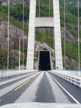 Pont d'Hardanger