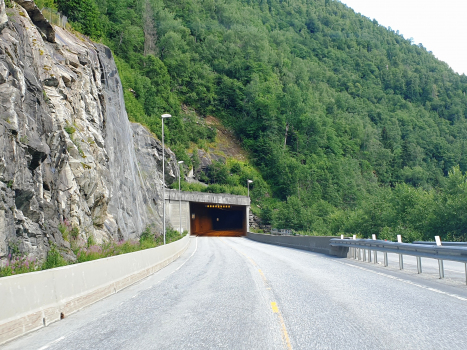 Tunnel de Myrkdal