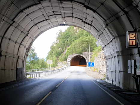 Tunnel de Oksla