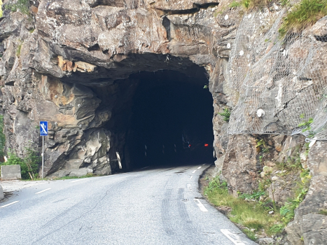 Skarvabjørg Tunnel