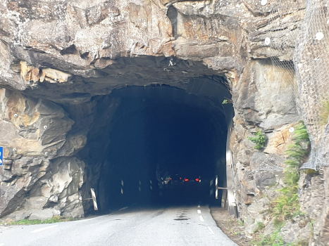 Skarvabjørg-Tunnel