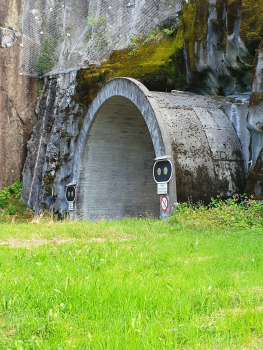 Tunnel de Stana