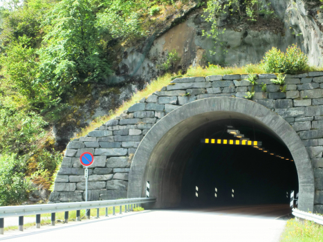 Stedjeberg Tunnel