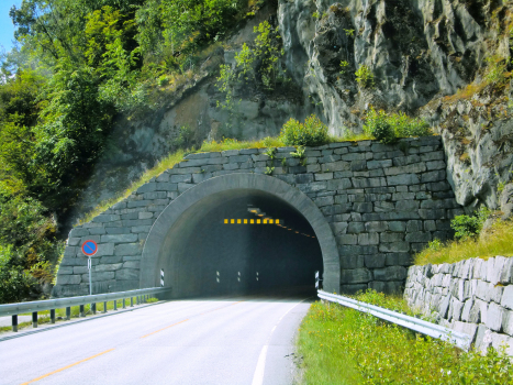 Stedjeberg Tunnel