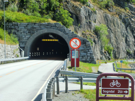 Stedjeberg-Tunnel
