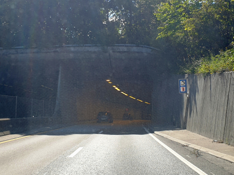 Granfoss Tunnel