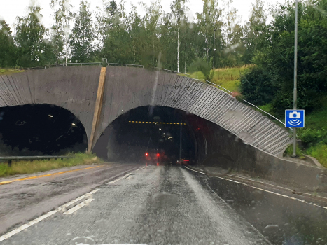 Tunnel de Rælings