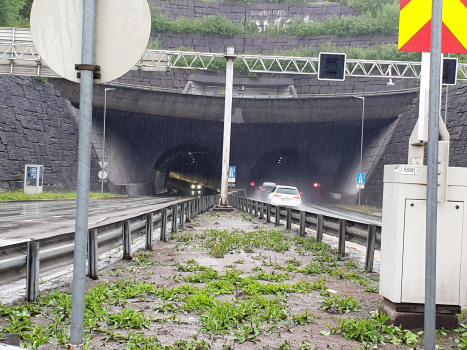 Tunnel de Rælings