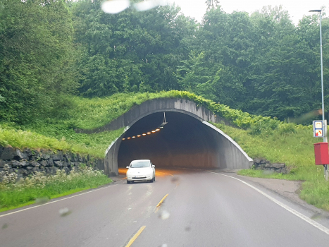 Vabakken Tunnel