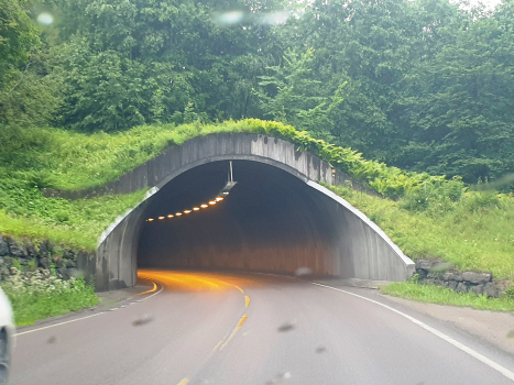 Tunnel de Vabakken
