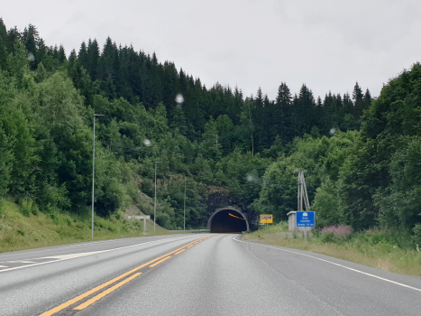 Grua-Tunnel