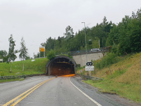 Tunnel de Hagan