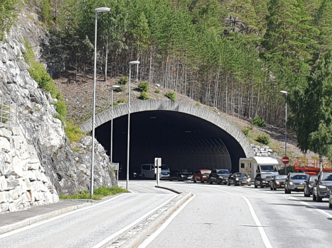Tunnel de Amla