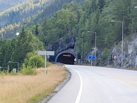 Tunnel Fodnes