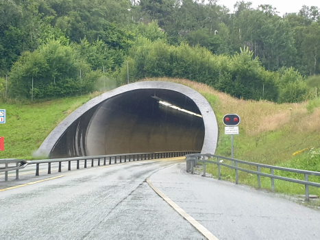 Tunnel de Åsnut
