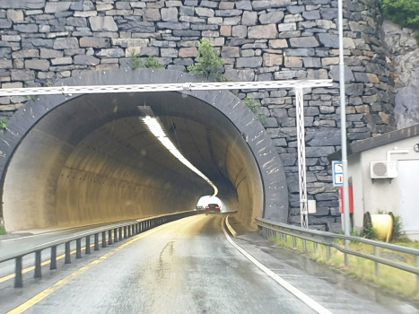 Tunnel de Åsnut