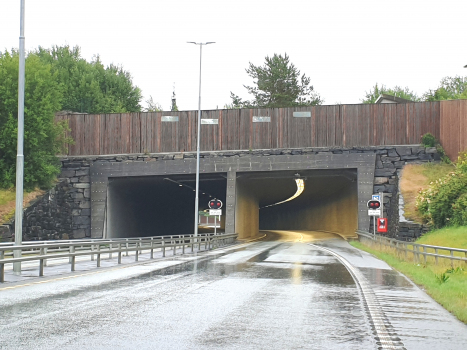 Tunnel Kristenberget